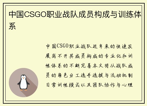 中国CSGO职业战队成员构成与训练体系